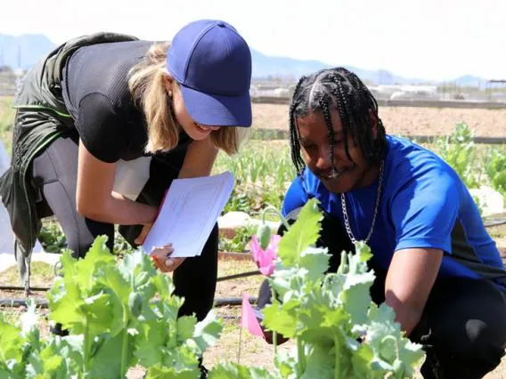 Students working with plants on a farm.