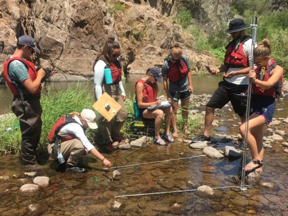 Students learning about environmental science in a stream.