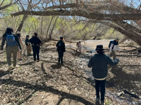 Picture of students in a riparian area