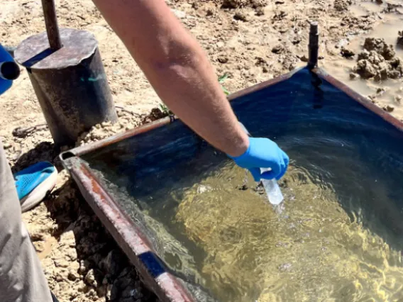 Photo of hand taking water sample