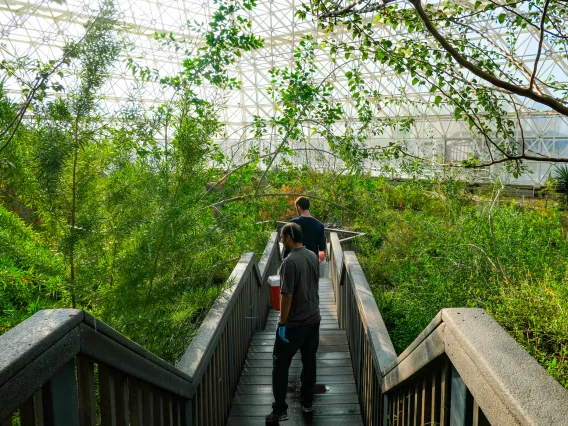 Picture of the inside of the Biosphere