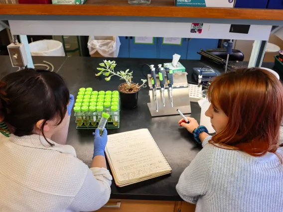 Two women in a research lab