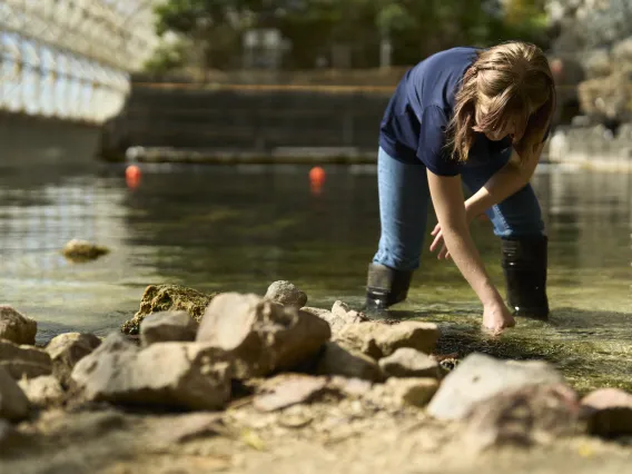 woman in shallow water reaching down to test water resource