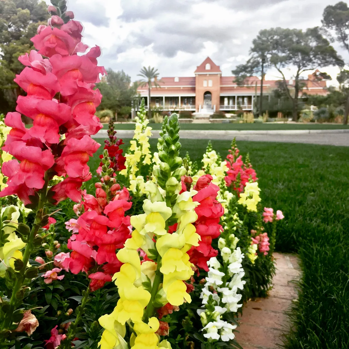 Old main spring