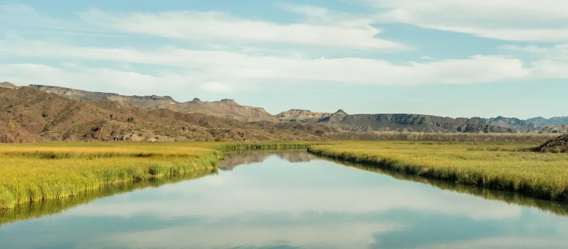 Image of a watershed