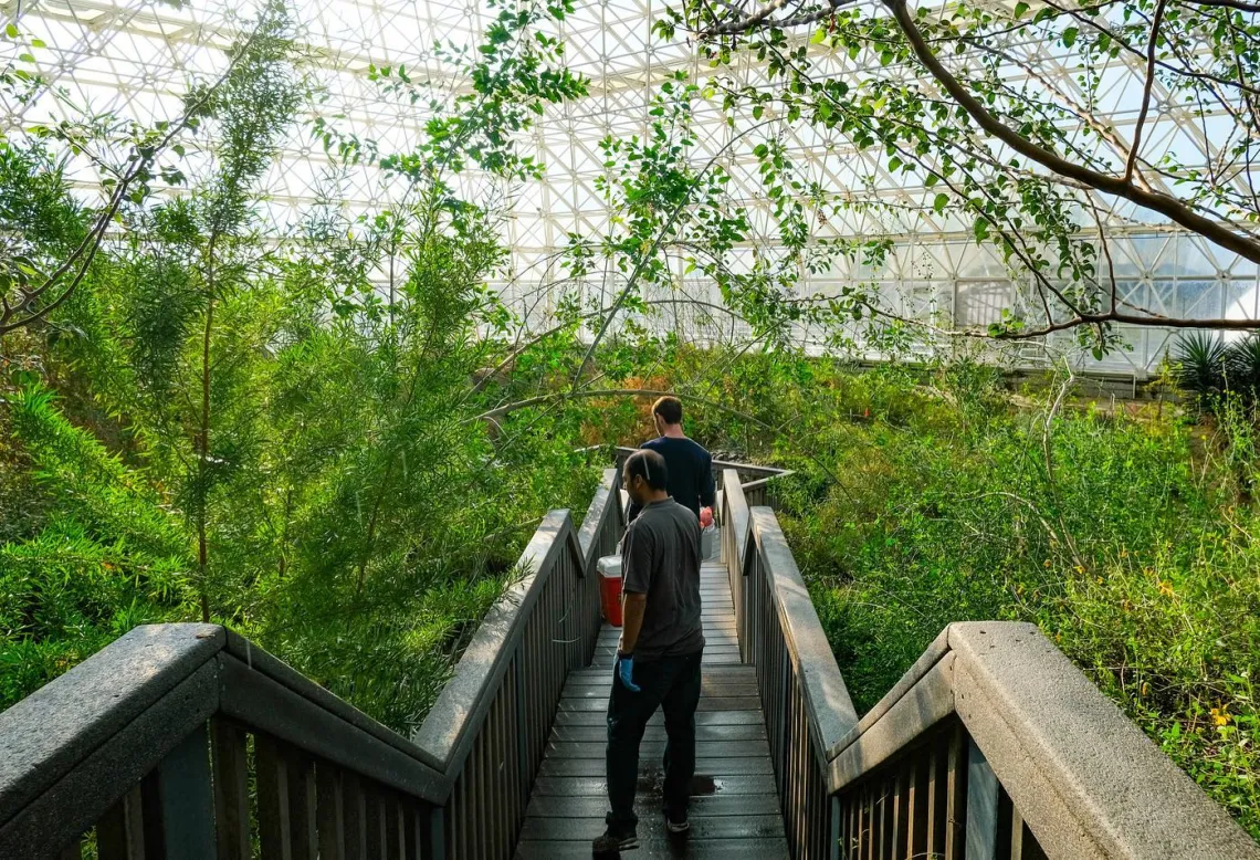 two men walking across a bridge in a biosphere