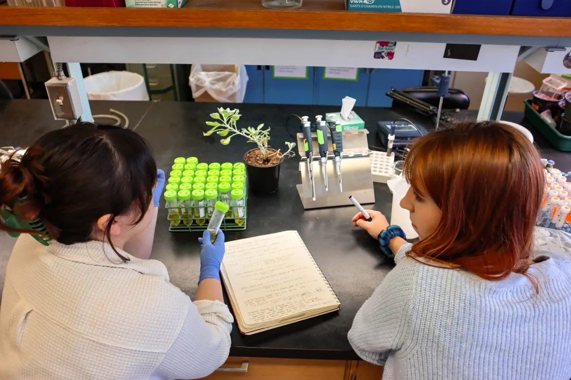 Two women in a research lab