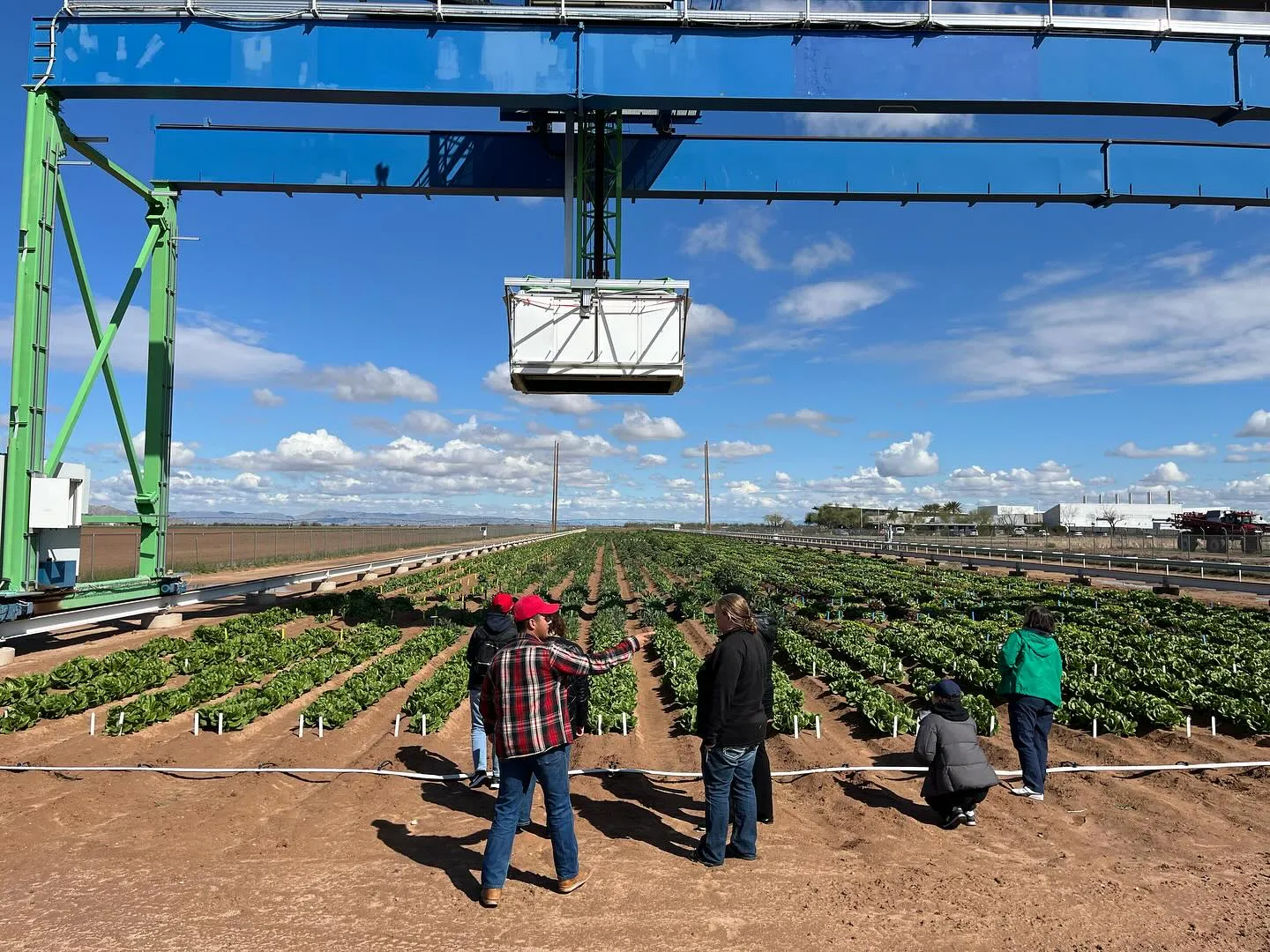 people gathered around a crop field