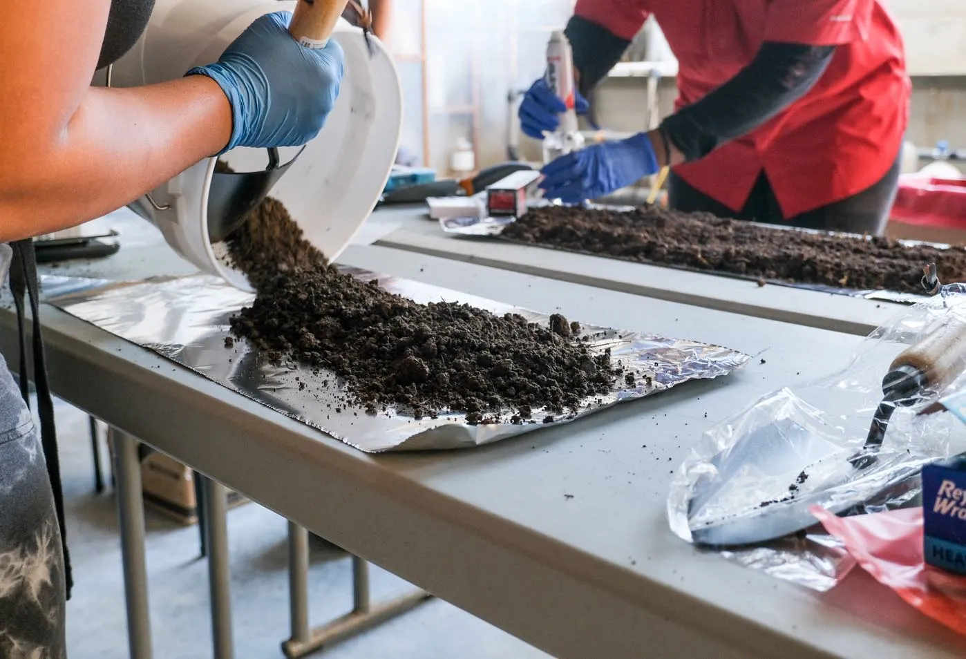 soil study in lab