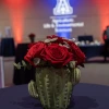 Cactus table decoration at the 2025 ALVSCE Awards Night