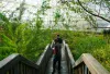 Picture of the inside of the Biosphere